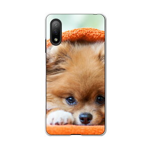 Xperia Ace II SO-41B GNXyA \j[ SONY docomo hRX}z Jo[ P[X X}zP[X X}zJo[ PC n[hP[X 008644 @ʐ^@IW