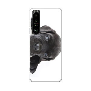 SO-51B Xperia 1 III �G�N�X�y���A �\�j�[ SONY docomo �h�R���X�}�z �J�o�[ �P�[�X �X�}�z�P�[�X �X�}�z�J�o�[ PC �n�[�h�P�[�X 000127 �� �� �t�����`�u���h�b�N �_�b�N�X�t���g