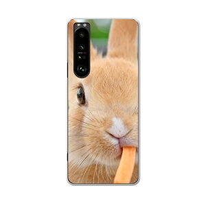 SO-51B Xperia 1 III GNXyA \j[ SONY docomo hRX}z Jo[ P[X X}zP[X X}zJo[ PC n[hP[X 002807 @@ʐ^