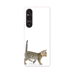 Xperia 1 V SO-51D SOG10 XQ-DQ44 p P[X ʑΉ so51d igcase X}zJo[ Jo[ P[X pc n[hP[X 000915 lR@qL