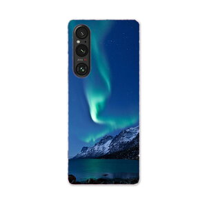 Xperia 1 V SO-51D SOG10 XQ-DQ44 ��p �P�[�X ���ʑΉ� so51d igcase �X�}�z�J�o�[ �J�o�[ �P�[�X pc �n�[�h�P�[�X 002450 �I�[�����@�i�F�@���i
