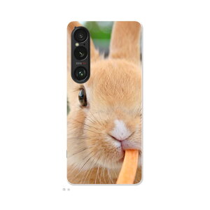 Xperia 1 VI p n[hP[X SO-51E / SOG13 / A401SO ʑΉ n[h P[X so51e Ή P[X Jo[ 002807 @@ʐ^