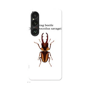 Xperia 1 VI �p �n�[�h�P�[�X SO-51E / SOG13 / A401SO ���ʑΉ� �n�[�h �P�[�X so51e �Ή� �P�[�X �J�o�[ 020006 stag beetle �N���K�^���V