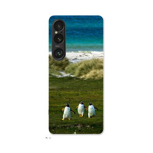 Xperia 1 VI p n[hP[X SO-51E / SOG13 / A401SO ʑΉ n[h P[X so51e Ή P[X Jo[ 022981 ʐ^@iF@C@