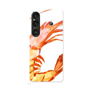 Xperia 1 VI p n[hP[X SO-51E / SOG13 / A401SO ʑΉ n[h P[X so51e Ή P[X Jo[ 026206 Gr@CV@