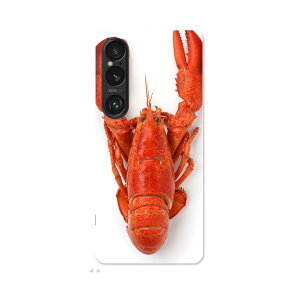 Xperia 1 VI p n[hP[X SO-51E / SOG13 / A401SO ʑΉ n[h P[X so51e Ή P[X Jo[ 006638 UKj@