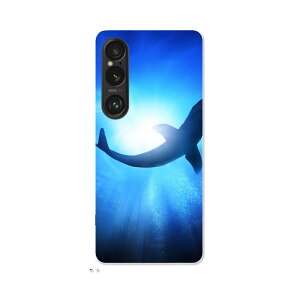 Xperia 1 VI �p �n�[�h�P�[�X SO-51E / SOG13 / A401SO ���ʑΉ� �n�[�h �P�[�X so51e �Ή� �P�[�X �J�o�[ 012652 ���@������@�C