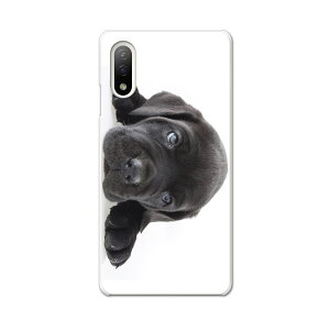 Xperia 10 IV pn[hP[X SO-52C / SOG07 / A207SO ʑΉ so52c igcase X}zJo[ Jo[ P[X pc n[hP[X 000127   t`uhbN _bNXtg