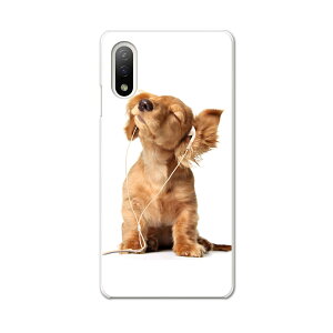 Xperia 10 IV pn[hP[X SO-52C / SOG07 / A207SO ʑΉ so52c igcase X}zJo[ Jo[ P[X pc n[hP[X 001245 @_bNXtg@