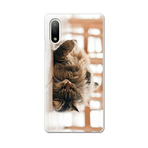 Xperia 10 IV pn[hP[X SO-52C / SOG07 / A207SO ʑΉ so52c igcase X}zJo[ Jo[ P[X pc n[hP[X 002601 L@@ʐ^