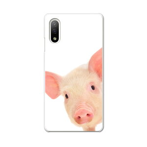 Xperia 10 IV pn[hP[X SO-52C / SOG07 / A207SO ʑΉ so52c igcase X}zJo[ Jo[ P[X pc n[hP[X 002775 Ԃ@@ʐ^