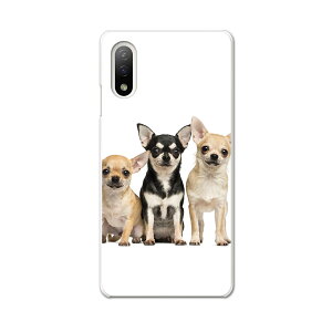 Xperia 10 IV pn[hP[X SO-52C / SOG07 / A207SO ʑΉ so52c igcase X}zJo[ Jo[ P[X pc n[hP[X 002885 @@ʐ^