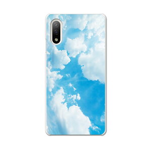 Xperia 10 IV pn[hP[X SO-52C / SOG07 / A207SO ʑΉ so52c igcase X}zJo[ Jo[ P[X pc n[hP[X 003474 @ʐ^@iF