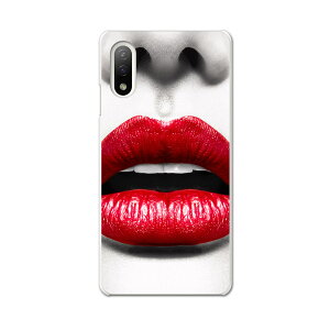 Xperia 10 IV pn[hP[X SO-52C / SOG07 / A207SO ʑΉ so52c igcase X}zJo[ Jo[ P[X pc n[hP[X 003525 N[ CN@ʐ^@