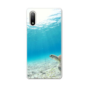 Xperia 10 IV pn[hP[X SO-52C / SOG07 / A207SO ʑΉ so52c igcase X}zJo[ Jo[ P[X pc n[hP[X 004605 E~K@C@ʐ^