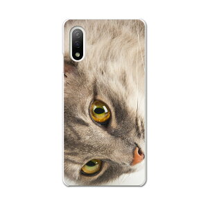 Xperia 10 IV pn[hP[X SO-52C / SOG07 / A207SO ʑΉ so52c igcase X}zJo[ Jo[ P[X pc n[hP[X 006477 Aj} ʐ^@@˂