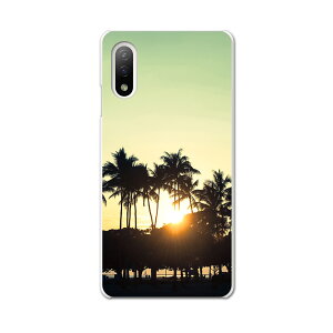 Xperia 10 IV pn[hP[X SO-52C / SOG07 / A207SO ʑΉ so52c igcase X}zJo[ Jo[ P[X pc n[hP[X 010212 i@[@ʐ^