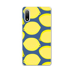 Xperia 10 IV pn[hP[X SO-52C / SOG07 / A207SO ʑΉ so52c igcase X}zJo[ Jo[ P[X pc n[hP[X 011985 @@F