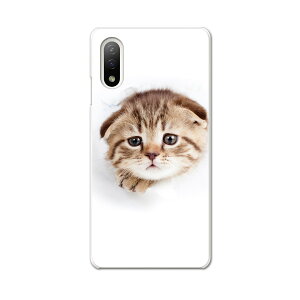 Xperia 10 IV pn[hP[X SO-52C / SOG07 / A207SO ʑΉ so52c igcase X}zJo[ Jo[ P[X pc n[hP[X 013568 L@ʐ^@qL