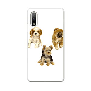 Xperia 10 IV pn[hP[X SO-52C / SOG07 / A207SO ʑΉ so52c igcase X}zJo[ Jo[ P[X pc n[hP[X 014619 @@Aj}