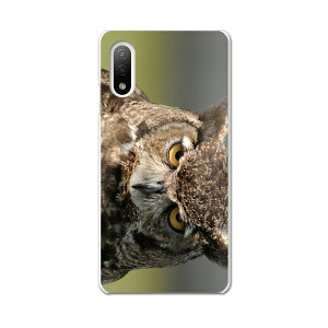 Xperia 10 IV pn[hP[X SO-52C / SOG07 / A207SO ʑΉ so52c igcase X}zJo[ Jo[ P[X pc n[hP[X 016308 tNE@ʐ^