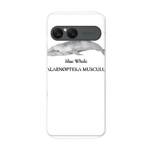 Xperia 10 VII �p �X�}�z�J�o�[ SO-52F / SOG16 / XQ-FE44 ���ʑΉ� so52f �P�[�X �J�o�[ �n�[�h�P�[�X 019741 �C�̐��� �V���i�K�X�N�W�� blue whale