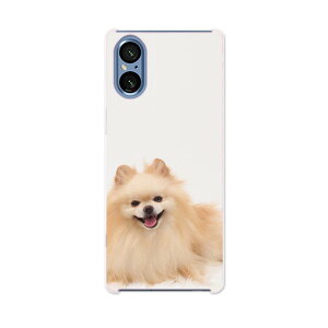 SONY Xperia 5 V �p Xperia 5 V SO-53D SOG12 XQ-DE44 �p �n�[�h�P�[�X 002912 ���@�����@�ʐ^