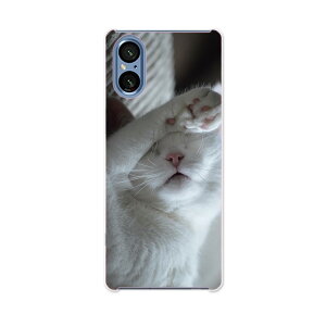 SONY Xperia 5 V �p Xperia 5 V SO-53D SOG12 XQ-DE44 �p �n�[�h�P�[�X 022860 �L�@�˂��@�ʐ^