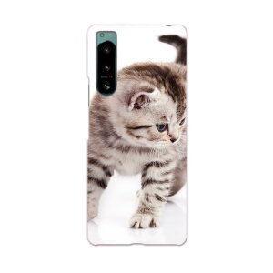 Xperia 5 IV pn[hP[X SO-54C / SOG09 / A204SO ʑΉ so54c igcase X}zJo[ Jo[ P[X pc n[hP[X 006228 ʐ^@lR@˂