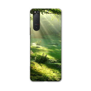 Xperia 5 II ��p�n�[�h�P�[�X igcase SOG02 au �X�}�z�J�o�[ �J�o�[ �P�[�X pc �n�[�h�P�[�X 004644 �ʐ^�E���i �X�@�ʐ^�@�i�F
