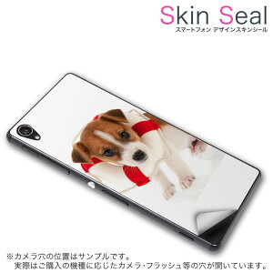 XLV[ X}zP[X XebJ[ X}zJo[ P[X یV[ w X}z X}[gtH lC v[g Pi ss 001242 CP-D02 FleaPhone @Covia Covia simfree SIMt[ Aj} @