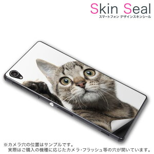 XLV[ X}zP[X XebJ[ X}zJo[ P[X یV[ w X}z X}[gtH lC v[g Pi ss 002674 CP-D02 FleaPhone @Covia Covia simfree SIMt[ Aj} L@