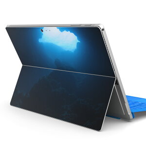 Surface Pro7 (2019) Pro6 Pro2017 pro4 p XLV[ igsticker T[tFX m[gubN m[gp\R Jo[ P[X tB XebJ[ ANZT[ ی 000068 n[g@@C