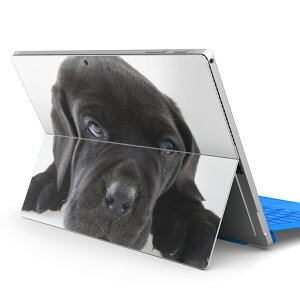Surface Pro7 (2019) Pro6 Pro2017 pro4 p XLV[ igsticker T[tFX m[gubN m[gp\R Jo[ P[X tB XebJ[ ANZT[ ی 000127   t`uhbN _bN