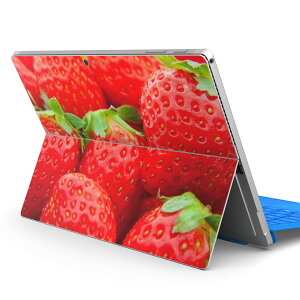 Surface Pro7 (2019) Pro6 Pro2017 pro4 p XLV[ igsticker T[tFX m[gubN m[gp\R Jo[ P[X tB XebJ[ ANZT[ ی 000149 䕁@@ԁ@ʕ