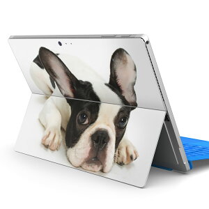 Surface Pro7 (2019) Pro6 Pro2017 pro4 p XLV[ igsticker T[tFX m[gubN m[gp\R Jo[ P[X tB XebJ[ ANZT[ ی 000889 @t`uhbN