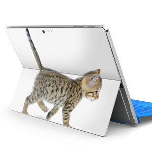 Surface Pro7 (2019) Pro6 Pro2017 pro4 p XLV[ igsticker T[tFX m[gubN m[gp\R Jo[ P[X tB XebJ[ ANZT[ ی 000915 lR@qL