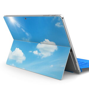 Surface Pro7 (2019) Pro6 Pro2017 pro4 p XLV[ igsticker T[tFX m[gubN m[gp\R Jo[ P[X tB XebJ[ ANZT[ ی 000959 @_