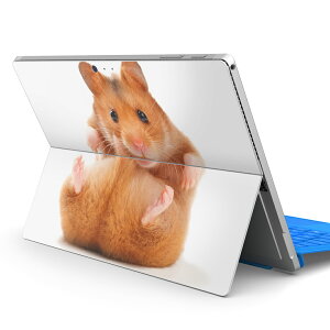 Surface Pro7 (2019) Pro6 Pro2017 pro4 p XLV[ igsticker T[tFX m[gubN m[gp\R Jo[ P[X tB XebJ[ ANZT[ ی 001075 nX^[@