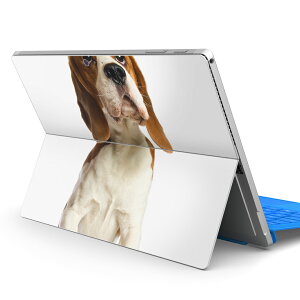 Surface Pro7 (2019) Pro6 Pro2017 pro4 �p �X�L���V�[�� igsticker �T�[�t�F�X �m�[�g�u�b�N �m�[�g�p�\�R�� �J�o�[ �P�[�X �t�B���� �X�e�b�J�[ �A�N�Z�T���[ �ی� 001147 ���@�r�[�O��