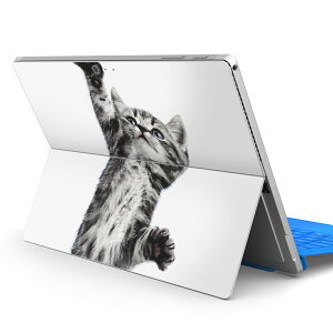 Surface Pro7 (2019) Pro6 Pro2017 pro4 p XLV[ igsticker T[tFX m[gubN m[gp\R Jo[ P[X tB XebJ[ ANZT[ ی 001200 lR@