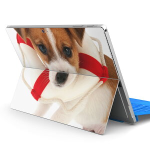 Surface Pro7 (2019) Pro6 Pro2017 pro4 p XLV[ igsticker T[tFX m[gubN m[gp\R Jo[ P[X tB XebJ[ ANZT[ ی 001242 @