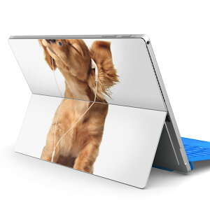 Surface Pro7 (2019) Pro6 Pro2017 pro4 p XLV[ igsticker T[tFX m[gubN m[gp\R Jo[ P[X tB XebJ[ ANZT[ ی 001245 @_bNXtg@