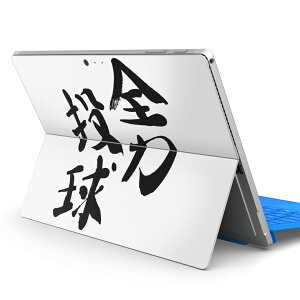 Surface Pro7 (2019) Pro6 Pro2017 pro4 p XLV[ igsticker T[tFX m[gubN m[gp\R Jo[ P[X tB XebJ[ ANZT[ ی 002310 {Ea @