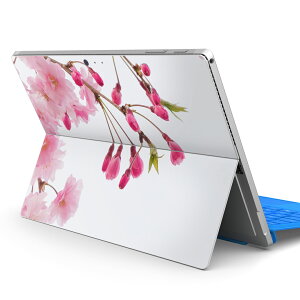 Surface Pro7 (2019) Pro6 Pro2017 pro4 p XLV[ igsticker T[tFX m[gubN m[gp\R Jo[ P[X tB XebJ[ ANZT[ ی 002620 ԁ@ʐ^@sN