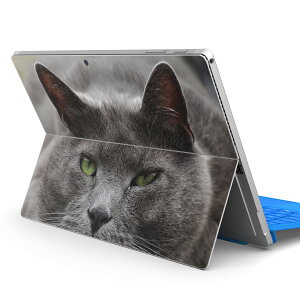 Surface Pro7 (2019) Pro6 Pro2017 pro4 p XLV[ igsticker T[tFX m[gubN m[gp\R Jo[ P[X tB XebJ[ ANZT[ ی 002650 L@@ʐ^