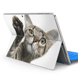 Surface Pro7 (2019) Pro6 Pro2017 pro4 p XLV[ igsticker T[tFX m[gubN m[gp\R Jo[ P[X tB XebJ[ ANZT[ ی 002674 L@@ʐ^