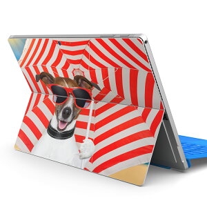 Surface Pro7 (2019) Pro6 Pro2017 pro4 p XLV[ igsticker T[tFX m[gubN m[gp\R Jo[ P[X tB XebJ[ ANZT[ ی 002677 @@ʐ^