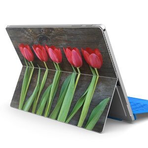 Surface Pro7 (2019) Pro6 Pro2017 pro4 �p �X�L���V�[�� igsticker �T�[�t�F�X �m�[�g�u�b�N �m�[�g�p�\�R�� �J�o�[ �P�[�X �t�B���� �X�e�b�J�[ �A�N�Z�T���[ �ی� 002731 �ԁ@�`���[���b�v�@�ʐ^