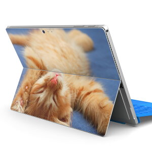 Surface Pro7 (2019) Pro6 Pro2017 pro4 p XLV[ igsticker T[tFX m[gubN m[gp\R Jo[ P[X tB XebJ[ ANZT[ ی 002759 L@@ʐ^
